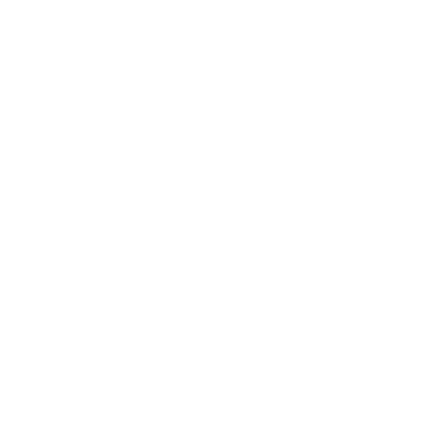 medianoche store 
